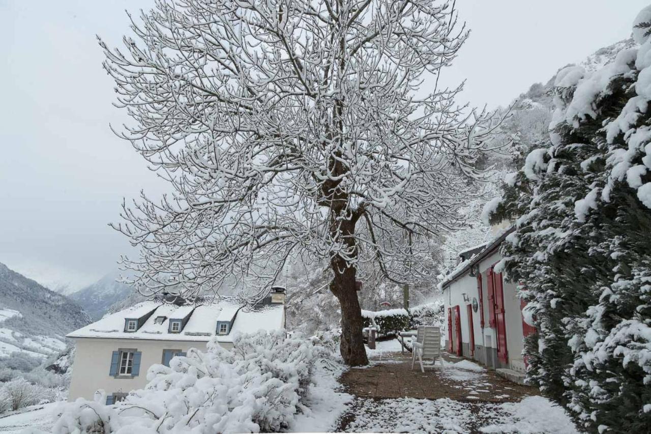 Comfortable Farm House Petit Barzun, In The Parc National Pyrenees Barèges Eksteriør bilde